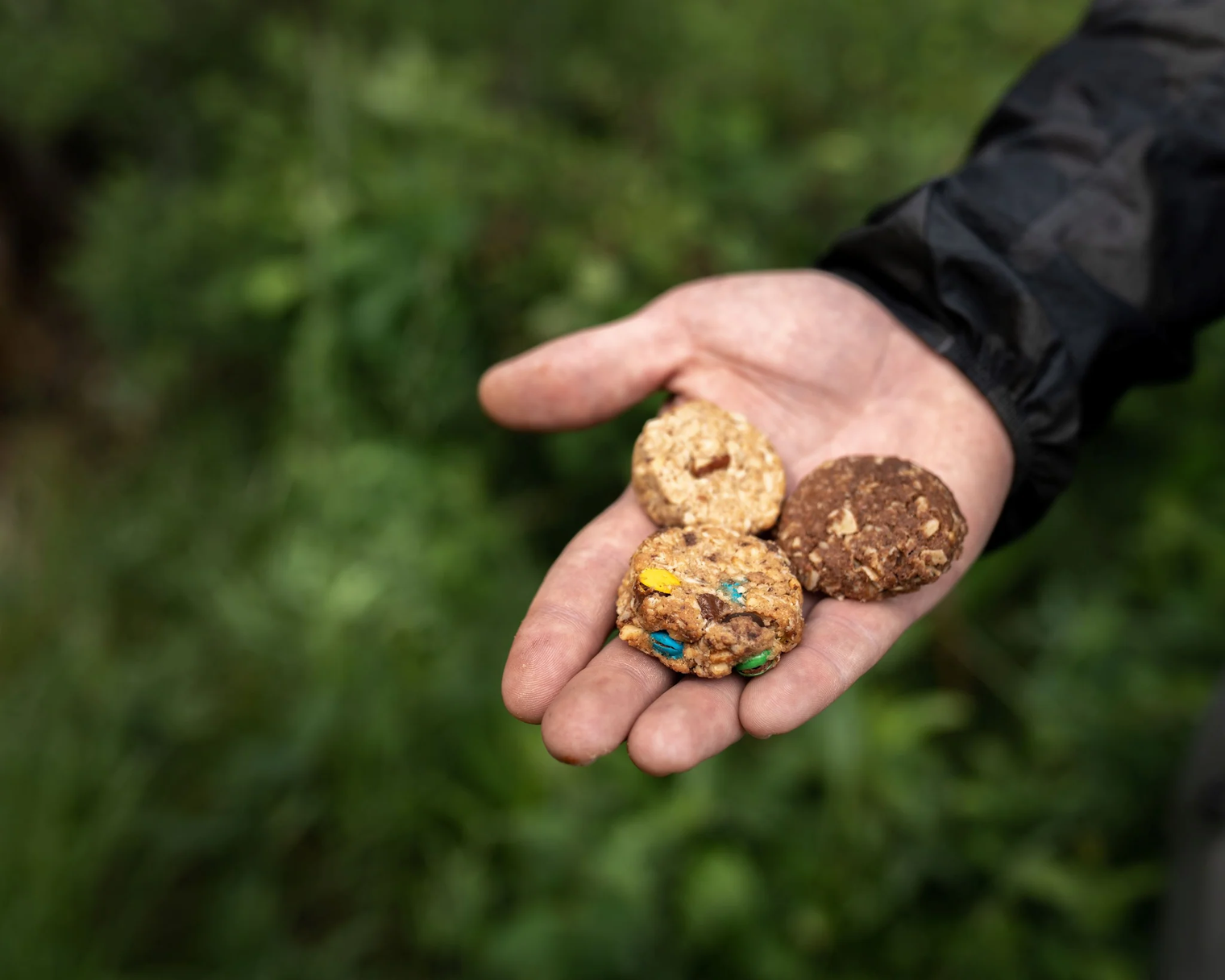 Angry Pika (formerly Alpen Fuel) Trail Cookies