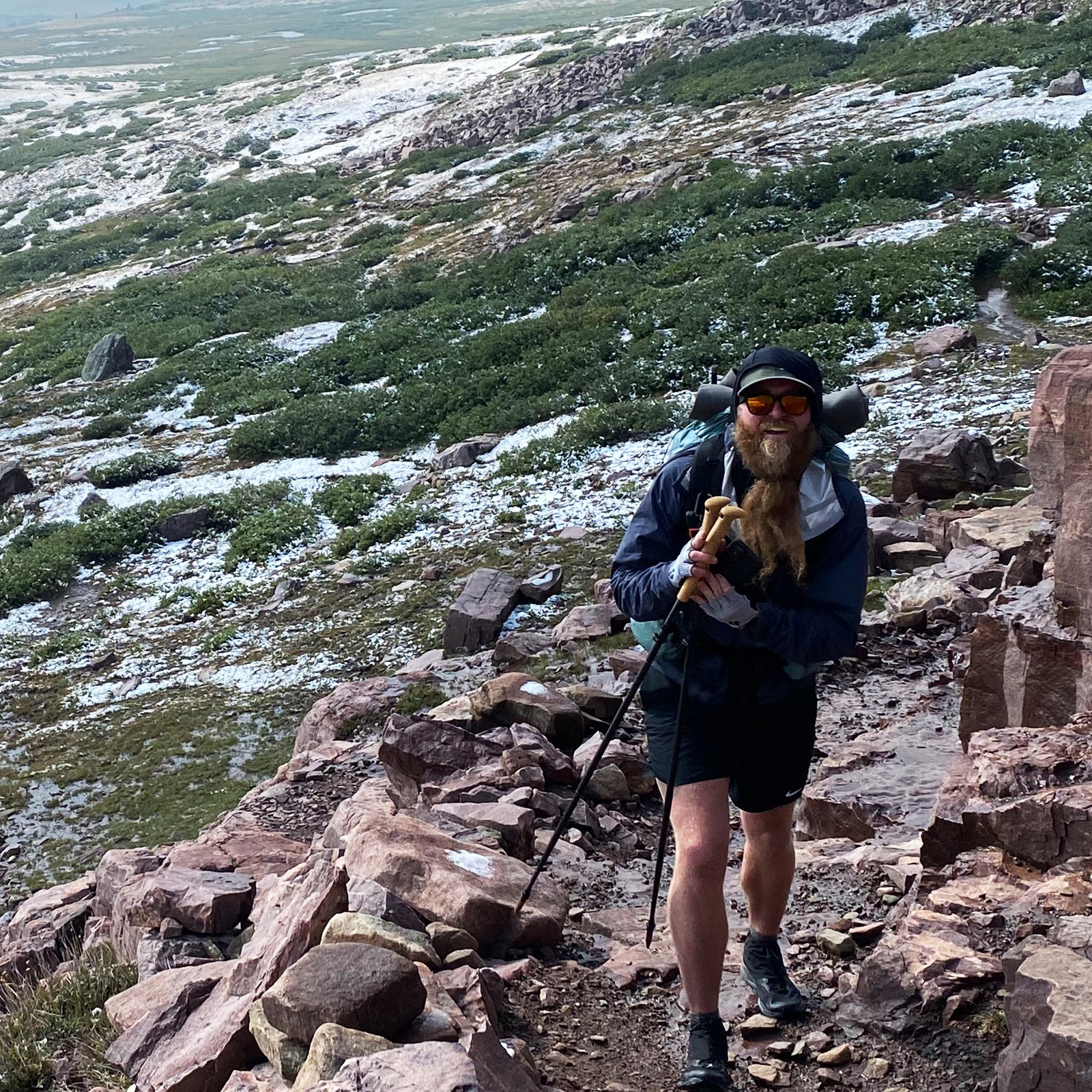 Trekking Poles
